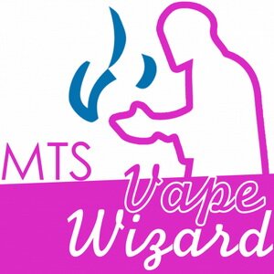 Нормализатор вкуса MTS Vape Wizard