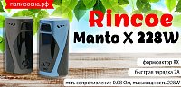 Реинкарнация RX, для тех, кто любит помощнее - Rincoe Manto X 228W