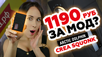 Новости 1190 РУБ ЗА МОД? | Arctic Dolphin Crea Squonk