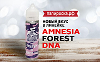 Новый вкус в линейке Amnesia в Папироска РФ !