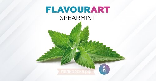 Spearmint - FlavourArt (5 мл)