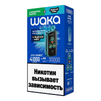 Waka (41000) - Ментол/Ледяной Микс