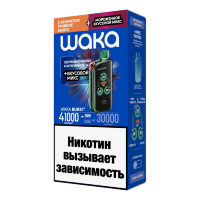 Waka (41000) - Тройное Манго/Мороженное