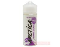Currant Grapefruit - Arctica