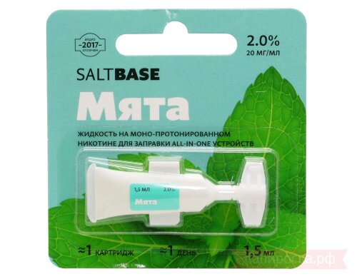 Мята - SaltBase