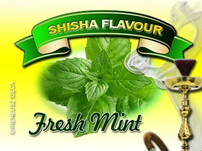 IW Shisha Fresh Mint - фото 2