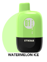 GTM Bar Migo 5000 - Watermelon Ice