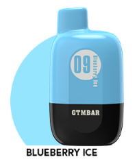 GTM Bar Migo 5000 - Blueberry Ice