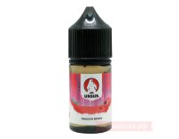 Жидкость Dragon Berry - URSUS Salt