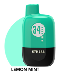 GTM Bar Migo 5000 - Lemon Mint