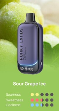 Funky Lands Lost Mary (30000) - Кислый Виноград Лёд