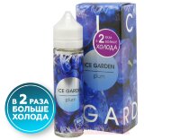 Жидкость Plum - 2X ICE GARDEN