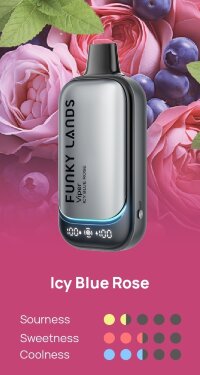 Funky Lands Lost Mary (30000) - Черника Роза Мята